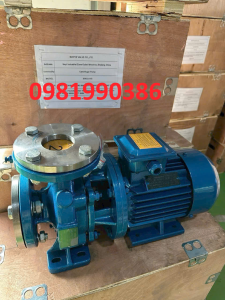 Máy bơm trục ngang ISW100-160