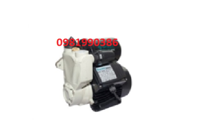 Máy bơm tăng áp tự động SWIRLS WZB60-200A