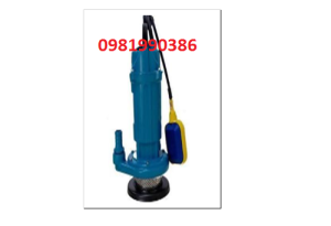 Bơm thả chìm có phao Swirls QDX30-9-1.1F