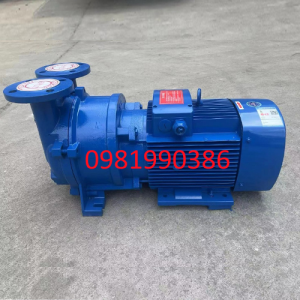 Bơm chân không vòng nước 2BV5161