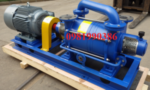 Bơm hút chân không vòng nước 2SK-12