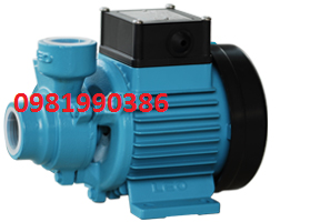Bơm đẩy cao Swirls TKM80