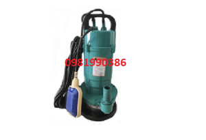 Bơm thả chìm có phao Swirls QDX1.5-32-0.75F